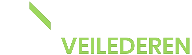 logo hvit energiveilederen energirådgivning